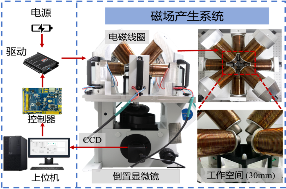 电子娱乐城